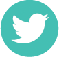 Twitter icon